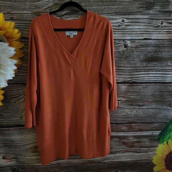 Swearer Collection NY/Chicago Avenue design Women's Long Sleeve Sweater 22/24 - Picture 1 of 7